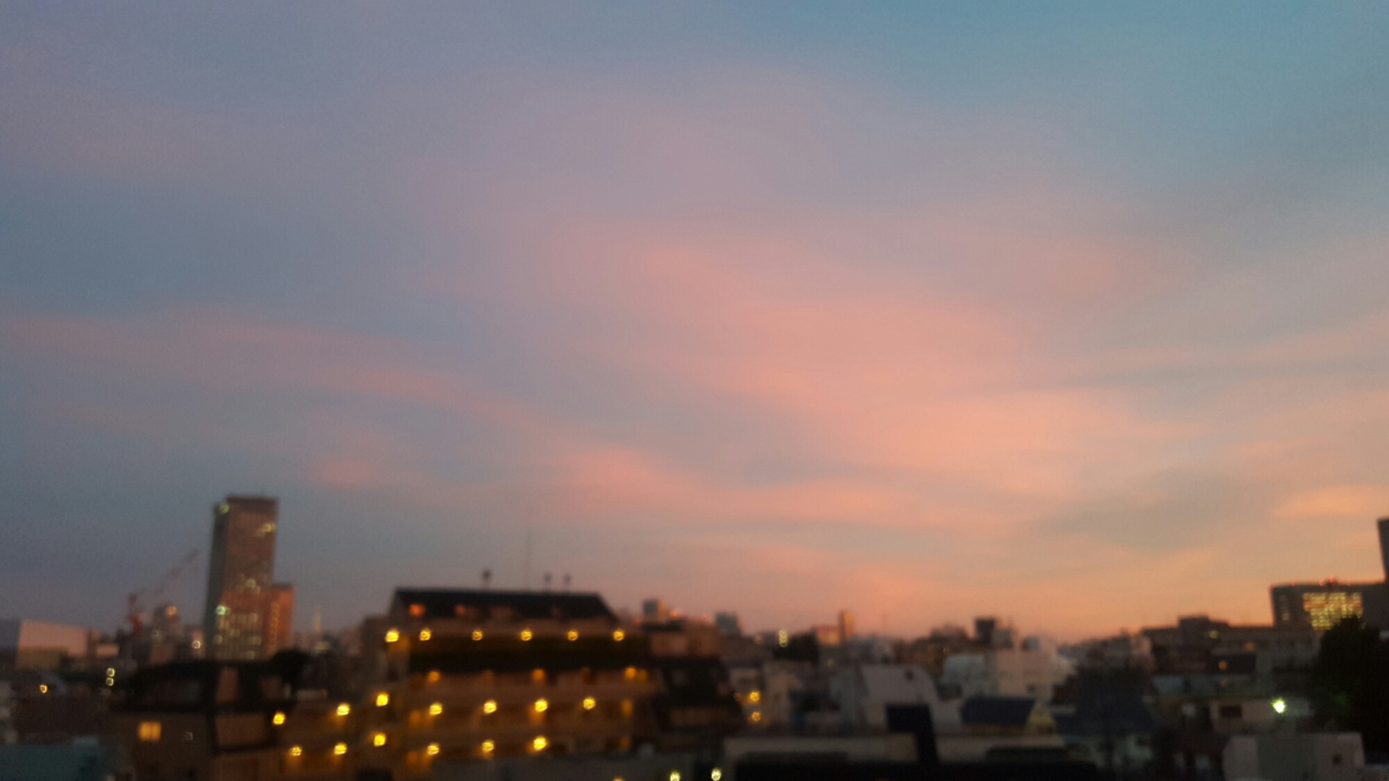 wp-1436877507747 image