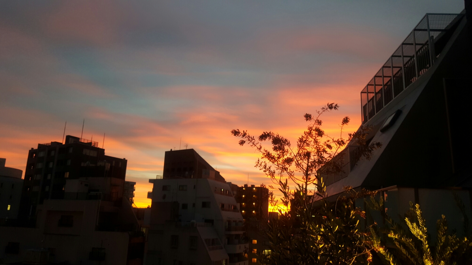 wp-1436877521672 image